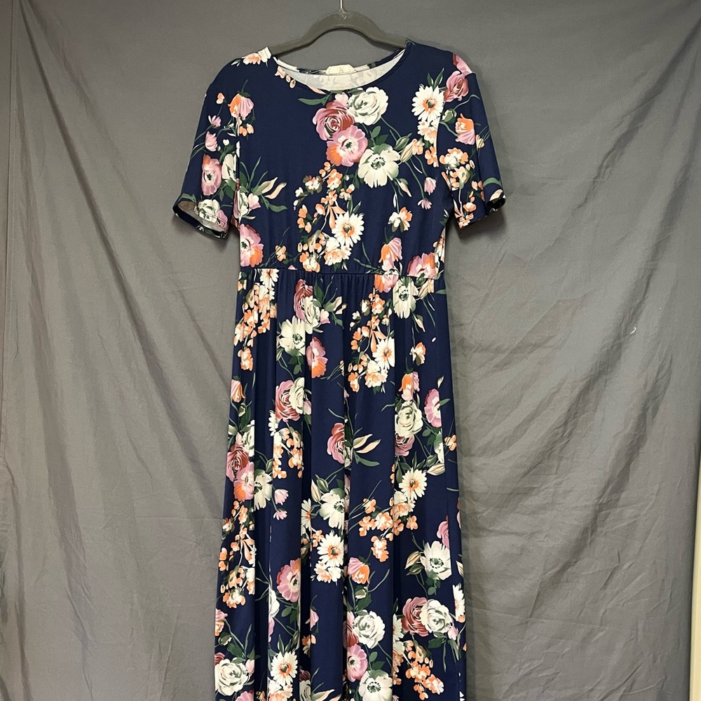 Amelia James Blue and Pink Maxi Dress